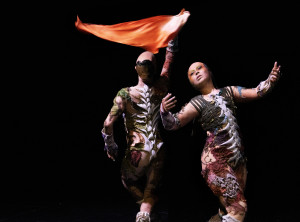 Espectáculo de danza