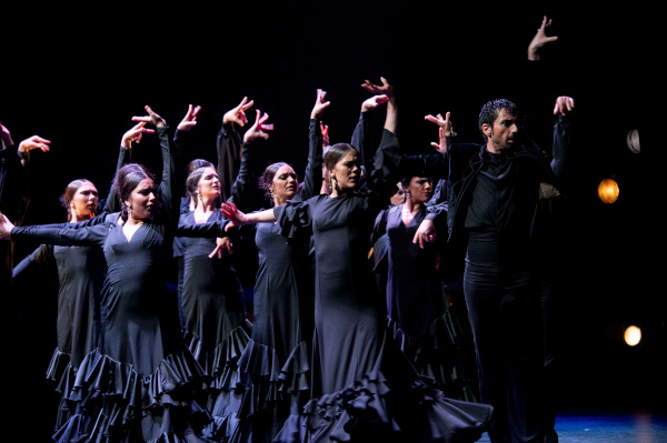 Espectáculo flamenco